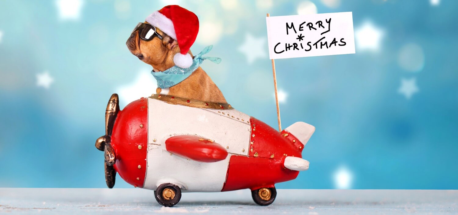 How many days are left till Christmas?